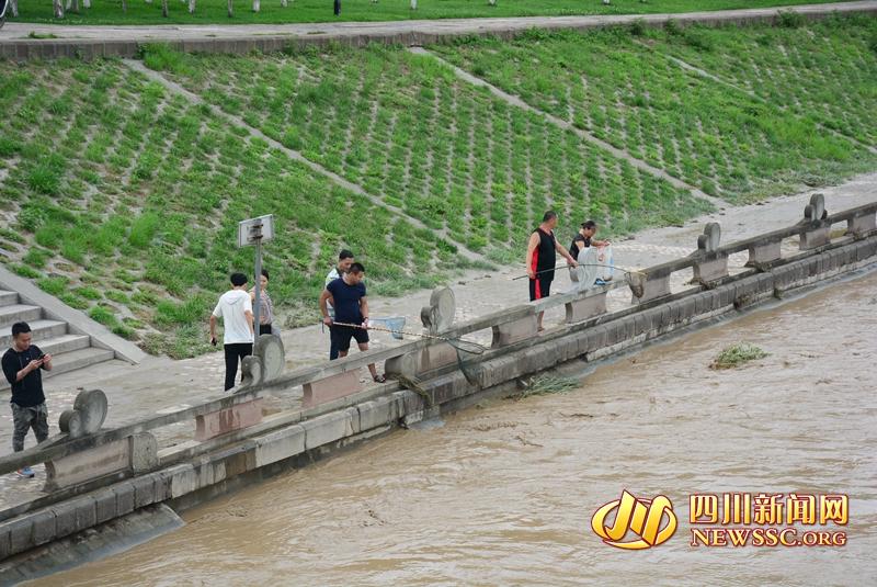 什邡大暴雨最新情况报告