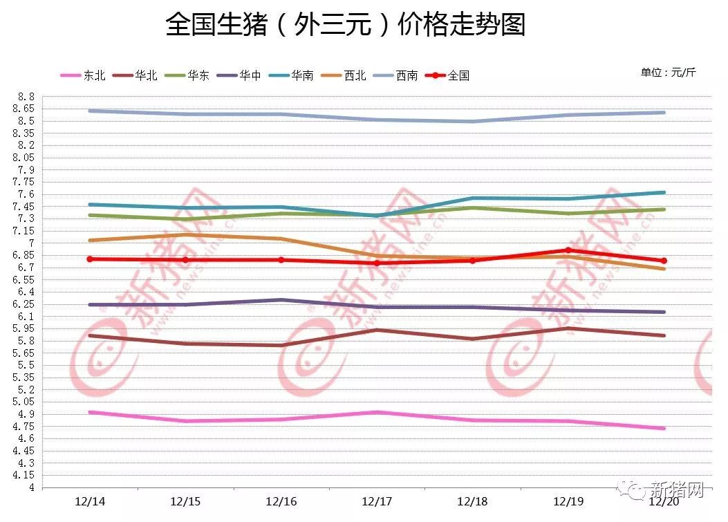 沙滩最新猪价动态分析