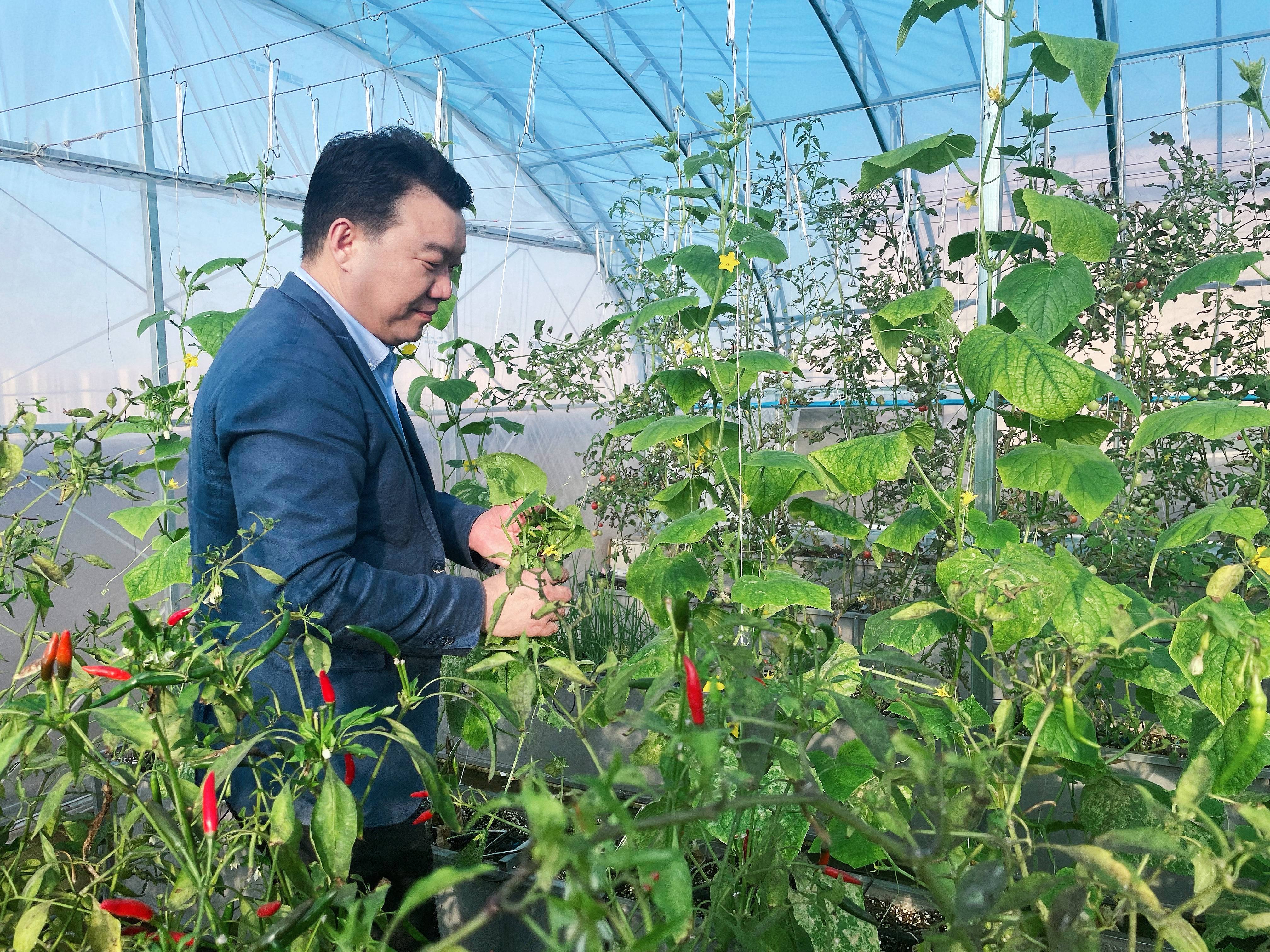 豆一最新动态，引领农业创新，开启智能种植新时代