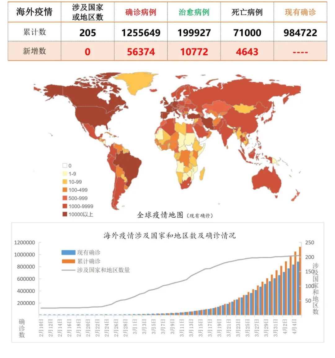 疫情最新报告，全球视野下的动态分析