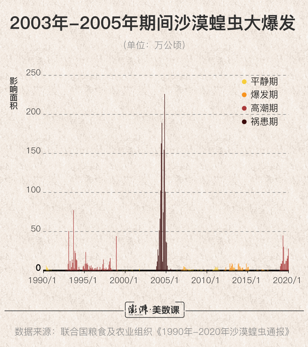 印度沙蝗最新动态与影响分析