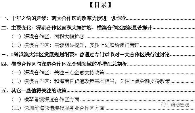 蔡英文发表最新言论，展望未来的政治与经济策略