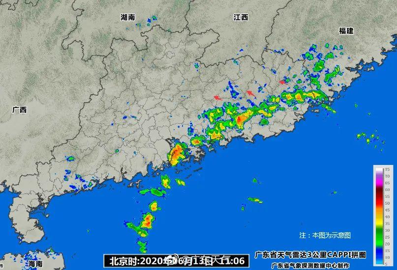 台风鹦鹉最新信息报告